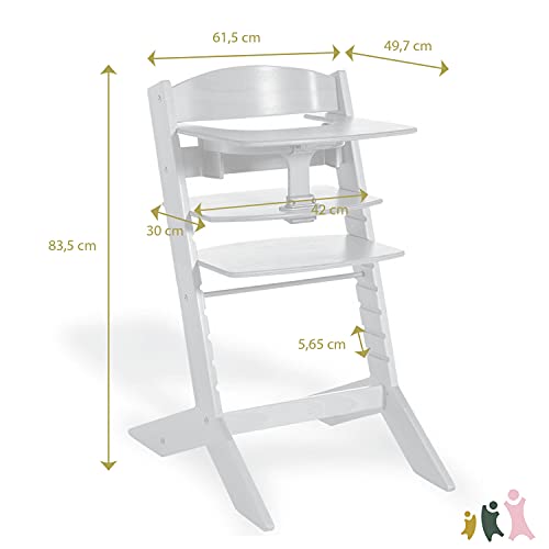 Geuther Hochstuhl SYT Kinderstuhl mitwachsender Baby Hochstuhl mit Babyliege komfortabler Baby Stuhl mit ergonomisch geschwungener Rückenlehne massiver Bauchbügel Lichtgrau