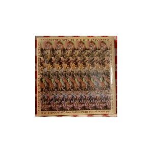 Endangered Species in 5-D Stereograms