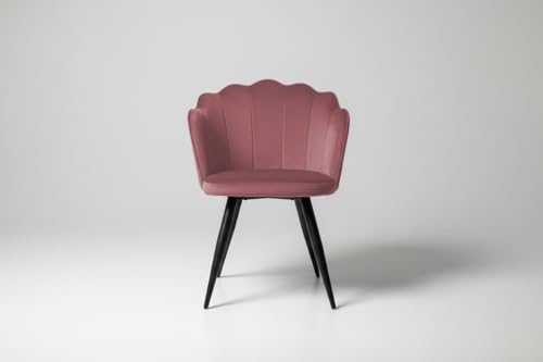 Image of Finch Fox Blake Luxurious Home Collection Dining Room Chairs in Pink Velvet Material & Stylish Design with Black Metal Powder Coated Legs