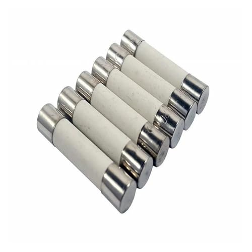 Fusibili a cartuccia con tubo in ceramica, fusibili di rete domestici in ceramica, confezione da 100, ampere assortiti, 0,5 A-30 A, 250 V, 6 x 30 mm.(25a)