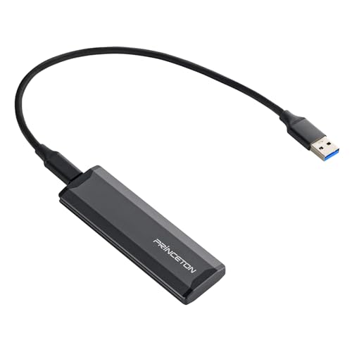 Amazon.co.jp: プリンストン(Princeton): SSD