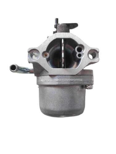 Carbureteur motoculture compatible moteur 217807 21B907 219802