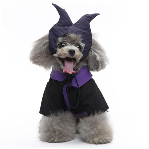Disfraz de Bruja para Perros XL Happyyami miniatura 4