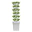 30 Pots-white