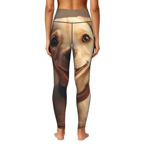 Leggings de labrador elásticos que no se bajan durante el ejercicio 4