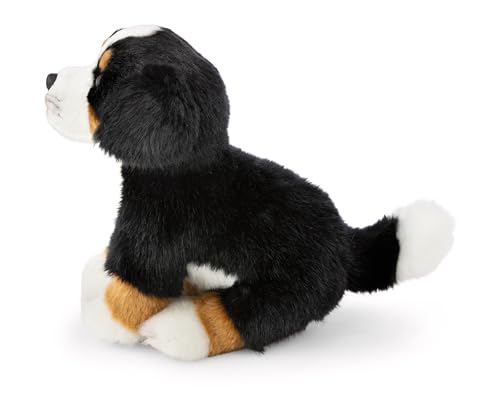 Kuscheltier Hund Berner Sennenhund 20cm