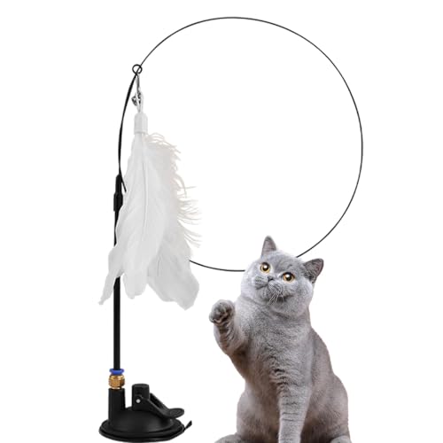 C^NeBuȔL̉ĤAzՔL̂ -vg^Vтhxtȕێ^zx[X,^Vтh邽߂̏񎩌ȕێzx[X̌IȃJtȉH