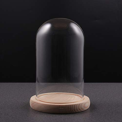 Glass Display Dome Cloche Tabletop Display Case Clear Glass Jar with Wooden Base DIY Craft Making Supplies 10x16cm - Image 2