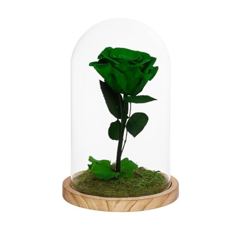 Mundo Eterno | Garden Center Shop | Rosa Preservada Verde en Cúpula de Cristal 22x12 cm | Rosa Eterna Estilo Bella y Bestia | Regalo Decorativo sin Mantenimiento