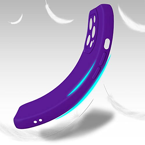 Cadorabo Custodia compatibile con Apple iPhone 13