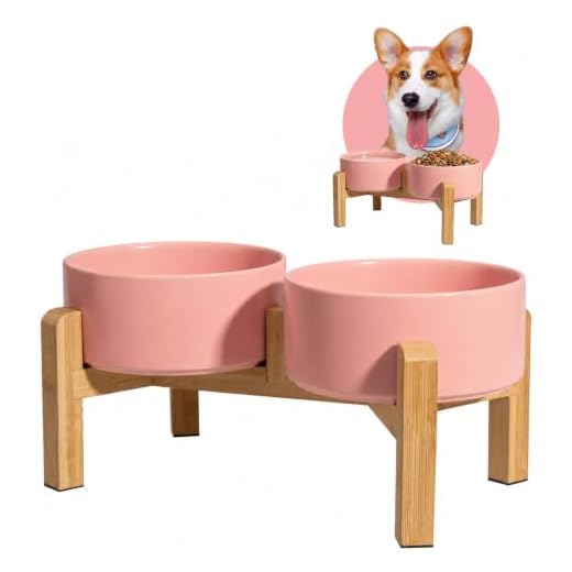 Elevated Ceramic Dog Bowl Set for Easy Feeding