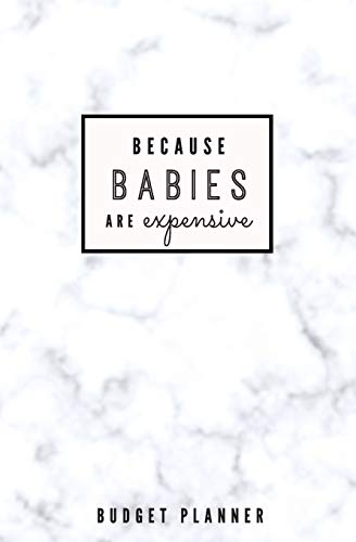 Because Babies are Expensive: Budget Planner: Monthly Undated Marble Expense