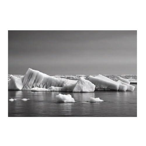 Poster Patte de glace GAEKKO affiche carrée 50x50 décoration murale chambre