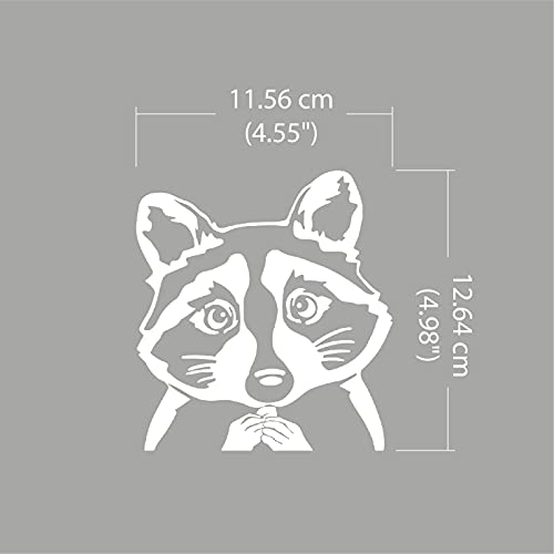 Image of WIRESTER 6 inch Clear Vinyl Decal Sticker Decoration for Car Window (Or Any Flat Surface) - Common Raccoon