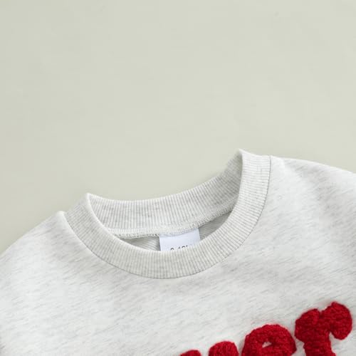 Toddler Boys Sweatshirts Long Sleeve Crew Neck Letter Embroidery Pullovers Baby Spring Tops4