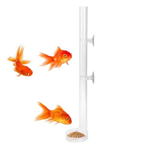 ANGraǁAق̃GraM - GrptB[_[agC | ঒ށAAgJQAp̃ANًa`[u