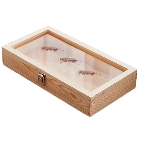 Joyero de madera, estuche de joyería con marco de mariposa, organizador de joyas, exhibición de aretes, anillos, collares, caja de joyería con tapa, vitrina de joyería de madera, organizador para
