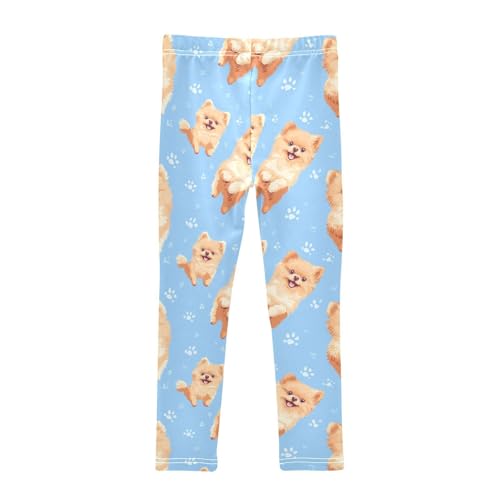 Cute Pomeranian Girls Leggings,Workout Leggings for Girls Toddler Athletic Leggings Size for 3-10T2