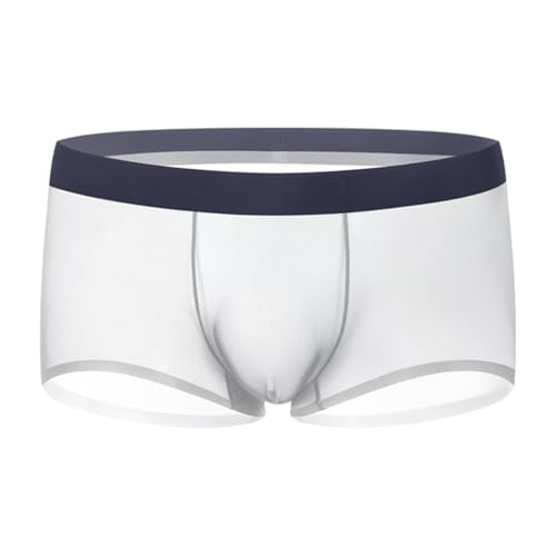 Pructi Men's Mesh & Silk Underwear Men Pouch Underwear Transparent Boxer Briefs Soft & Luxurious Silk Boxers