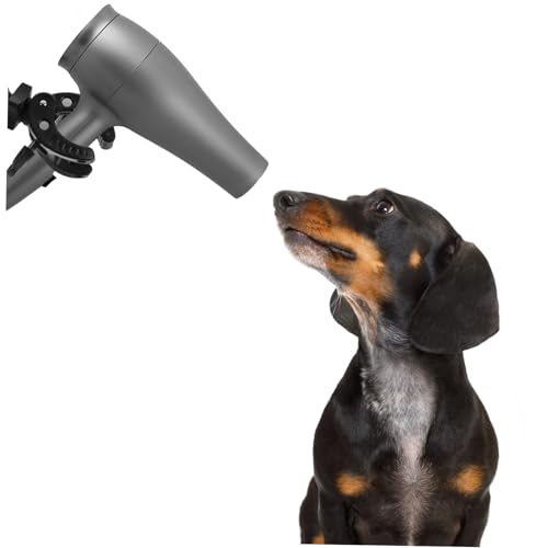 Soporte para secador de pelo de mascotas ideal para el baño y cepillado cómodo de perros en casa 8