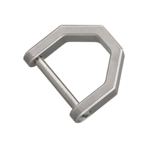 IASINN Titanium Key Rings,Titanium D Ring Key Shackle,Titanium Keychain D Screw Shackle Car Key Ring,Car Key Tool D Buckle for Key Fob Cover