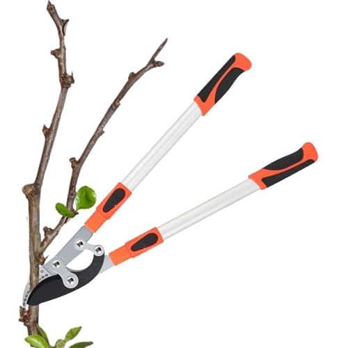 Tree Loppers | Adjustable Length Bypass Loppers | Cutter Tools with Long Handle Pruner for Flower Shrub Landscaping Vine Topiary Bonsai Lawn Hedge Indoor Outdoor