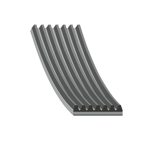 FEBI BILSTEIN 184866 Correa trapecial poli V Correa Poly V Correa poli V Correa de accesorios