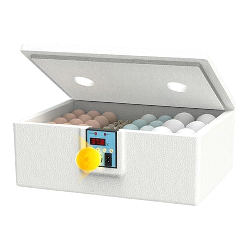 Incubadoras para incubar huevos, incubadora de huevos de codorniz, dispositivo inteligente de cría en casa con temperatura estable para pollo, patos, gansos, codornices y loros