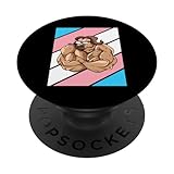 Ox With Pride Transgender Flag LGBTQ