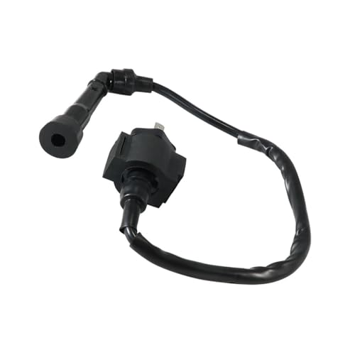 Bobine d'allumage pour résoudre les problèmes de démarrage difficile SMC RAM 250 300
