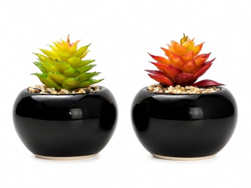 Artificial Succulent Plants, Black Ceramic Pot, Pack of 2, Home D...