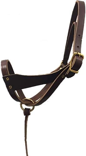 Tack Shack of Ocala Leather Figure 8 Foal Halter | Newborn, Foal, Mini Pony Halter | Brown with Removable Grab Strap and Two Size Crowns