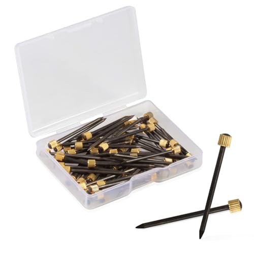 Image of SPEEDWOX 60 Pcs Picture Hangers Black Steel Nails and Brass Head Frame, Picture Hanging Nails for Hanging Picture Painting with Plastic Storage Box Holds Up to 5-30 lbs(Large)