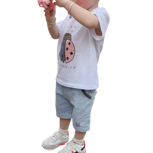 AEghA Rbg n[tpc Y{  LbY xr[ {[CY j̎q ؍q 80cm 90cm 100cm 110cm 120cm (90, u[)