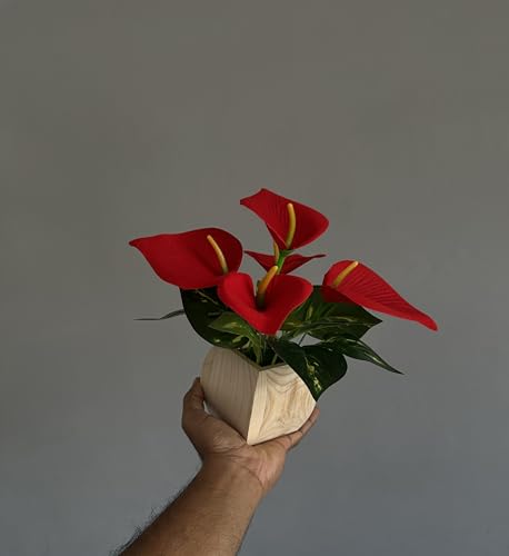Image of Artificial Anthurium Flowers, Red Floral Arrangement with Wooden Pot, Indoor Home Decor