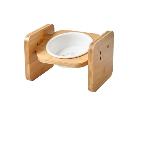 Fanisa L H LH L a L t[h{E a HX^g lR{E ˂GT 퐻 ({EX^h^Cv)