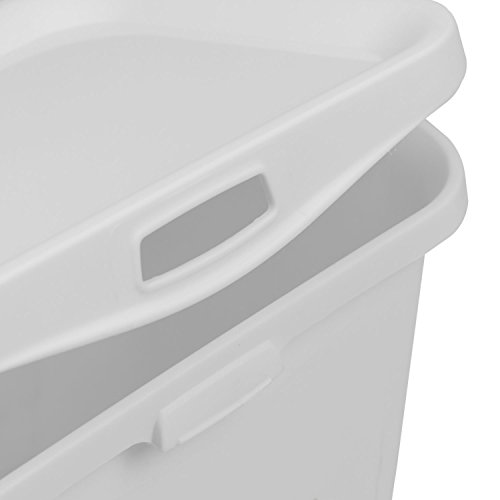 CURVER Leckerli- und Futterdose für Tiere, 3 l, Hund & Katze, 25,7 x 17,7 x 11,3 cm, Weiß