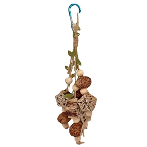 Fogun Jouet de Cage à Oiseaux pour perroquets Oiseaux de Plantes Naturelles Molaire d'herbe Jouet de Perroquet coloré Jouet ennuyeux pour Oiseaux Jouet de Perroquet perroquets Suspendus Cover