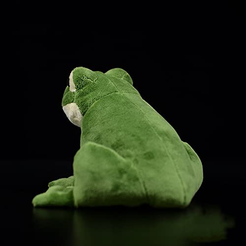 lilizzhoumax Grün Frosch Kuscheltier 12cm/5”, Simuliertes Tier Frosch Plüschtier, Kawaii Kuscheltier Frosch, Realistische Frosch Plüschspie Spielzeug für Wilde Tiere, Geschenk für Freunde und Kinder