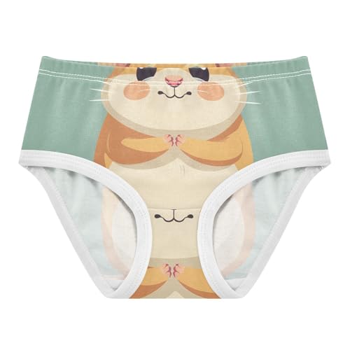 Girls Underwear Toddler 2t Cotton Panties Little Girl Print Undies Kids Briefs Cute Chubby Hamster