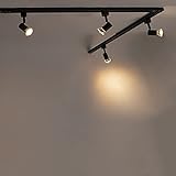 Foco riel: Lee esto antes de comprarlo.