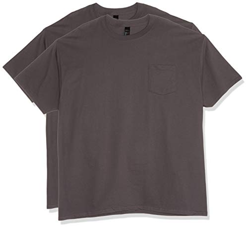 Hanes Men's 2 Pack Short Sleeve Pocket Beefy-T, Smoke Grey, Large