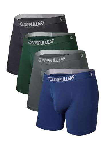 COLORFULLEAF Men's Boxer Briefs Moisture Wicking Underwear Soft Rayon Made from Bamboo Underwear for Men with 3D-Pouch Open Fly(4D,L)