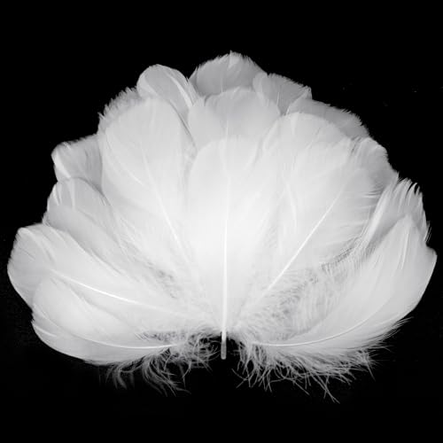 AOOTE 100 Stück Weiße Bastelfedern 6-12cm
