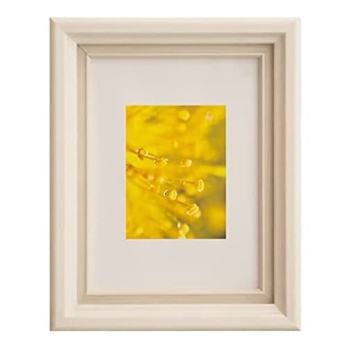 tHgt[ ʐ^ ̃tHg t[̃e[u t[̊|ǂ̉яc̉Ƃ̑ z LO(12 inch)