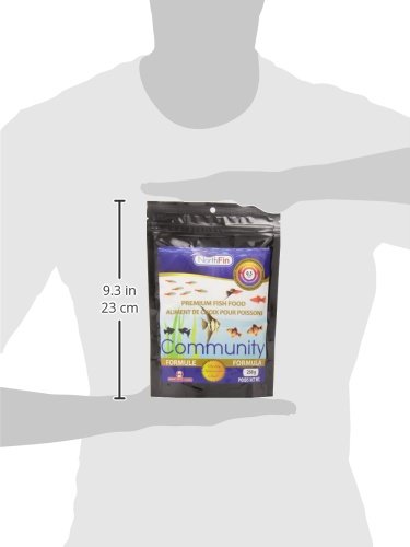 Northfin Community #TOP2