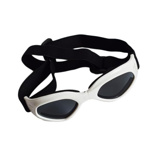 Totority ybgp\OpTOX LOJbg Oh~ hhybgACEFA t[ʋCybgS[O