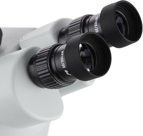 Image of AmScope SM-2TX Professional Trinocular Stereo Zoom Microscope, WH10x Eyepieces, 3.5X-45X Magnification, 0.7X-4.5X Zoom Objective, Upper and Lower Halogen Lighting, Pillar Stand, 110V-120V, Includes 0.5X Barlow Lens