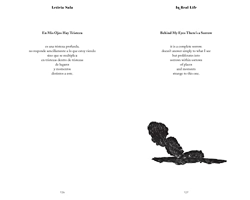 In Real Life: An English-Spanish Novel in Poems - Image 5