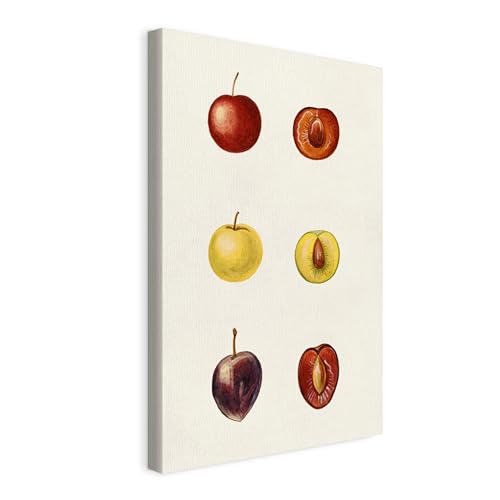 Wallero Tableau sur toile de Prunes sur Clair Fond – Déco murale moderne & impression artistique | Tableau pour salon chambre cuisine entrée 20x30